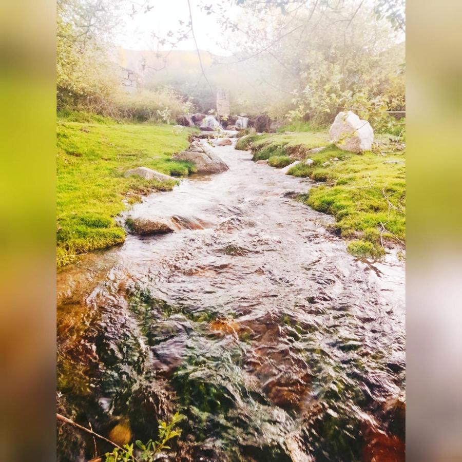 El Eden De Javier Guest House Robledillo Luaran gambar